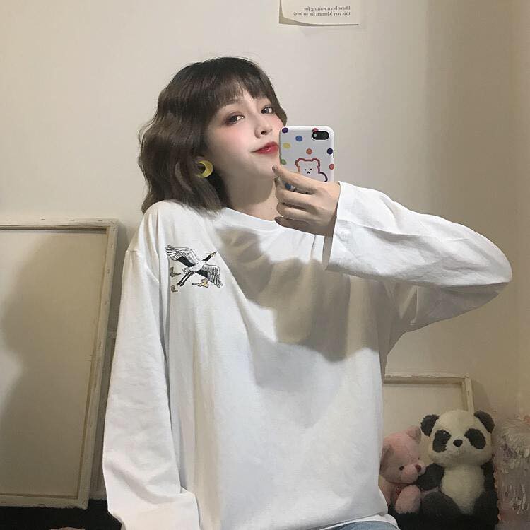 [ Có Ảnh Thật ] Áo thun tay dài form rộng - phông dài tay nam nữ oversize thêu con hạc - 2N Unisex