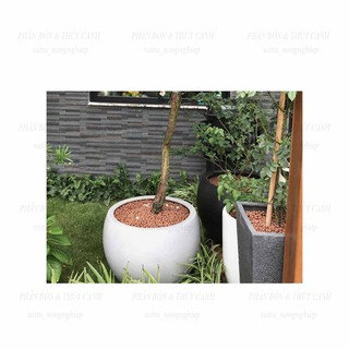 Đất sét nung - đất nung popper trồng sen đá bonsai hàng thailand - ảnh sản phẩm 4