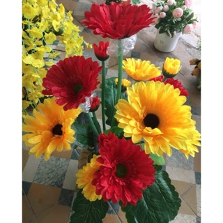  Hoa đồng tiền lụa hoa giả loại đẹp cành có phấn trắng