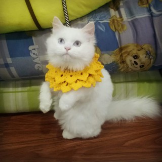Yếm len cho thú cưng YẾM HOA HƯỚNG DƯƠNG handmade cho PET chó, mèo,. thỏ, chuột ú.....