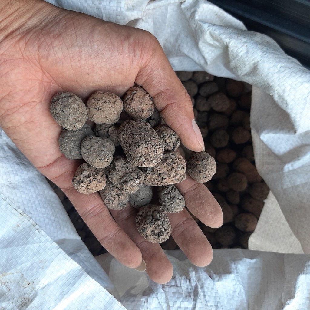 1kg Viên Đất nung, sỏi nhẹ, size lớn 10-20mm sản xuất tại việt nam, đá bọt