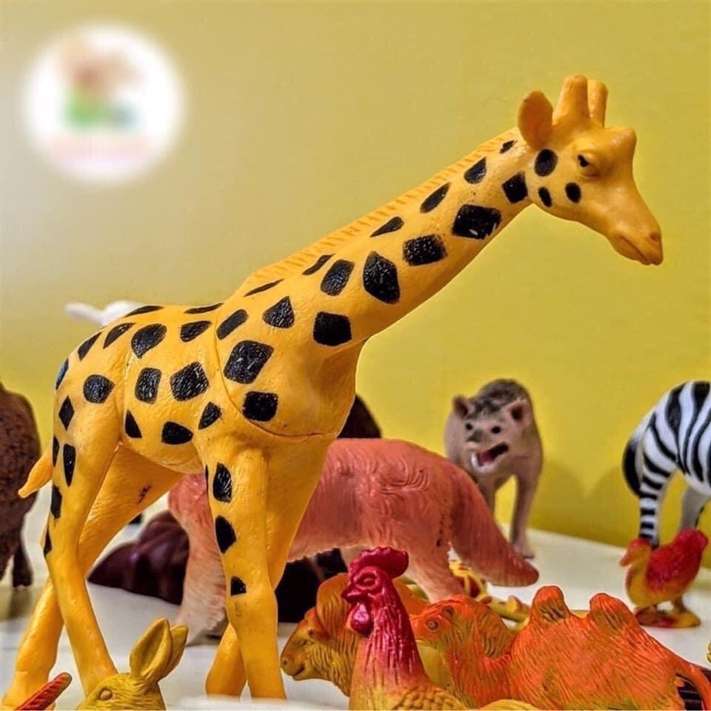 Bộ mô hình động vật