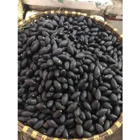 GIỐNG CÂY TRÁM ĐEN GHÉP CHO TRÁI SIÊU SỚM