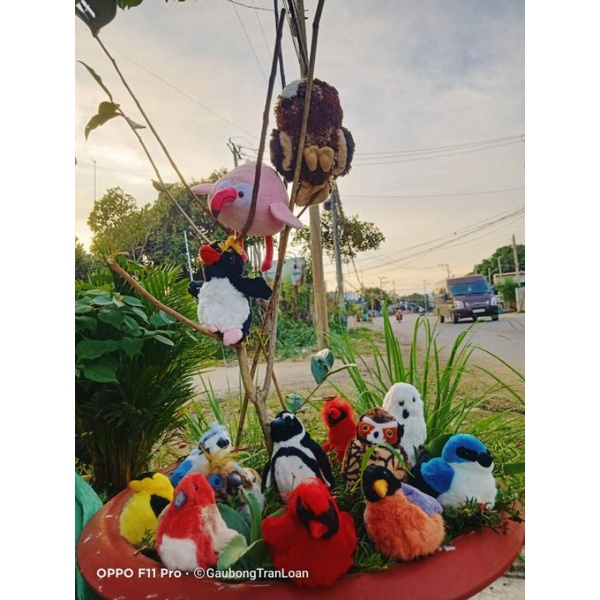 21 chim gấu bông các loại