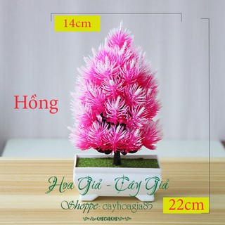 Cây Giả -  Cây Thông Để Bàn