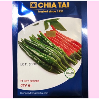 Hạt giống ớt hiểm lai f1 ctv 61