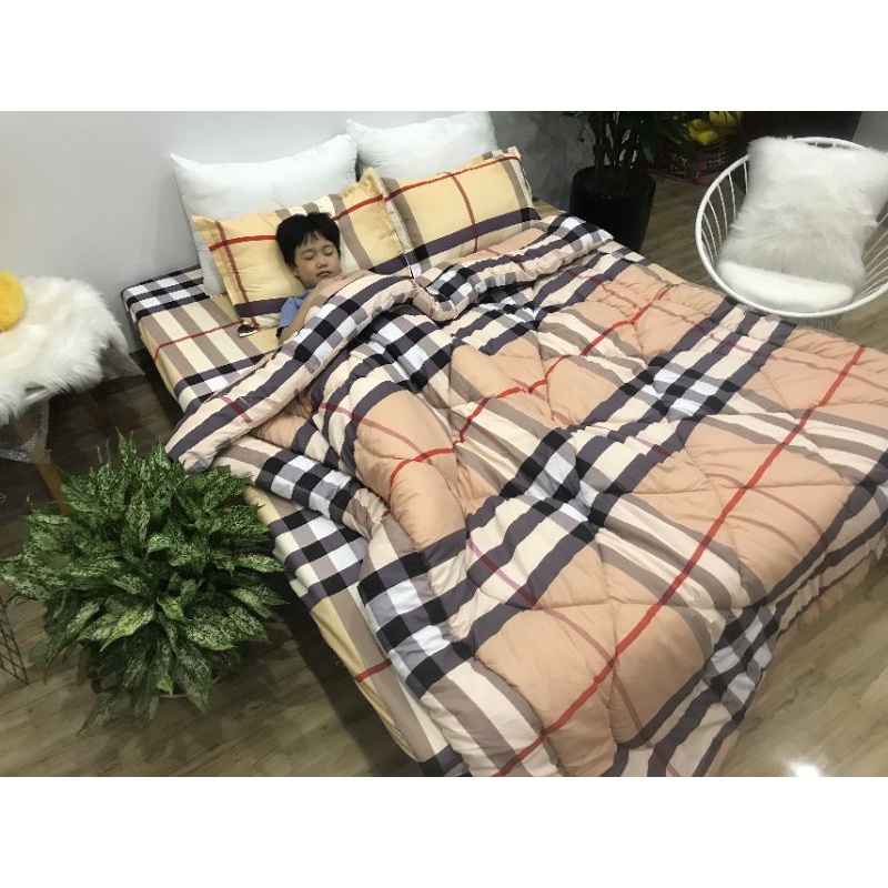 [Sẵn 70 màu] Bộ chăn phao ga gối cotton poly 5 món y ảnh sẵn hàng đủ size | BigBuy360 - bigbuy360.vn