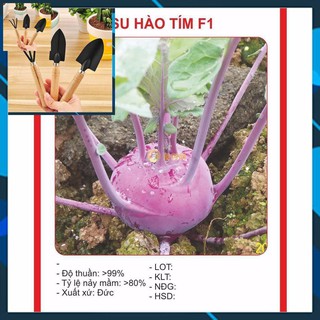 Hạt Giống Su Hào Tím 0.5gr TẶNG BỘ LÀM VƯƠN MINI