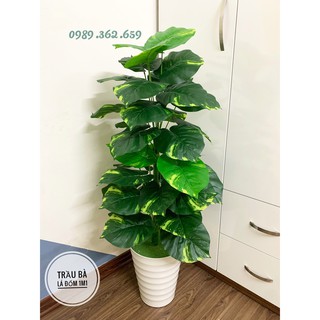 TRẦU BÀ LÁ ĐỐM 1M1- CÂY GIẢ DECOR