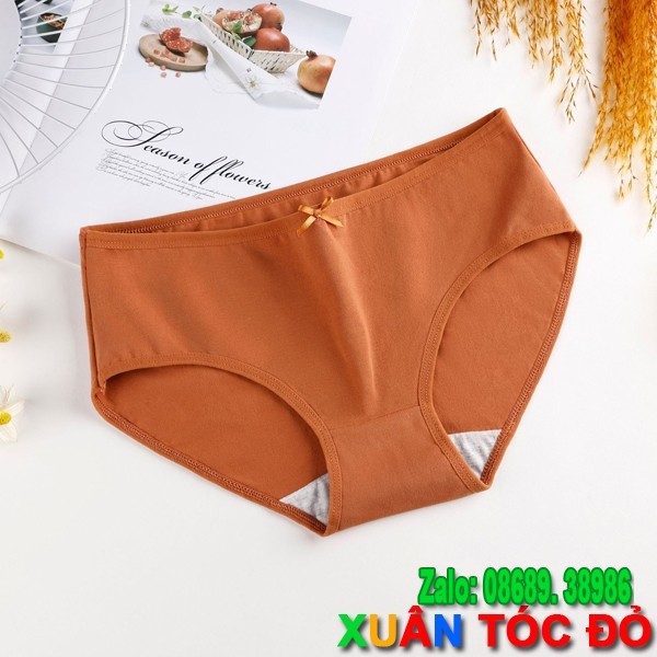 Quần Lót Nữ Cotton 7 Màu Có Nơ Cực Xinh M081