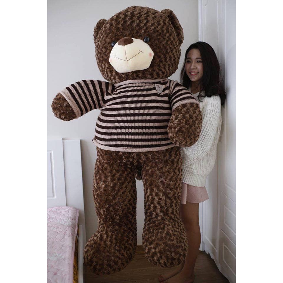 Gấu bông Teddy cao cấp - Khổ vải 1,6m cao 1,4m màu cafe -TD1m4