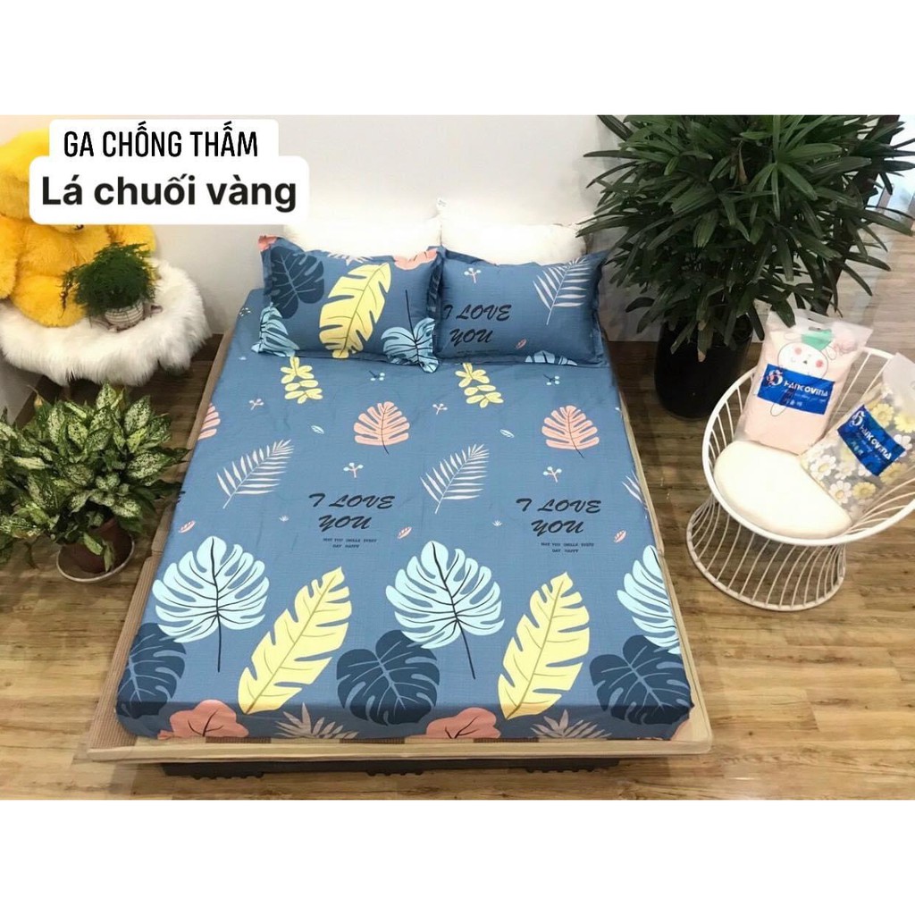 Ga chống thấm cotton HÀN QUỐC không nóng, không bí, thoáng mát - Ga chống thấm cotton bảo vệ đệm  Ấm Êm Decor