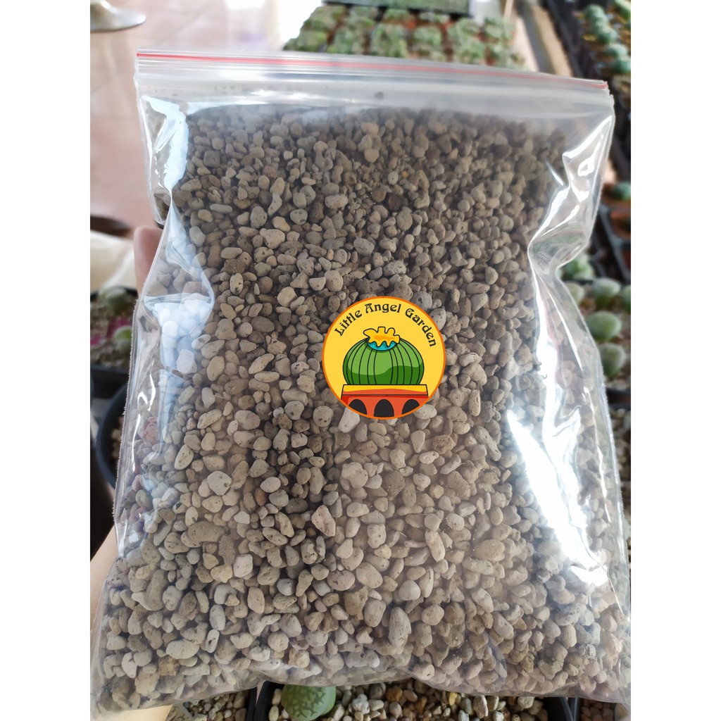 500g Giá thể sen mông, lithops, thạch lan | Thoát nước siêu tốt, ra rễ cực nhanh