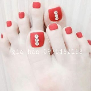Móng tay giả 24 móng kèm keo