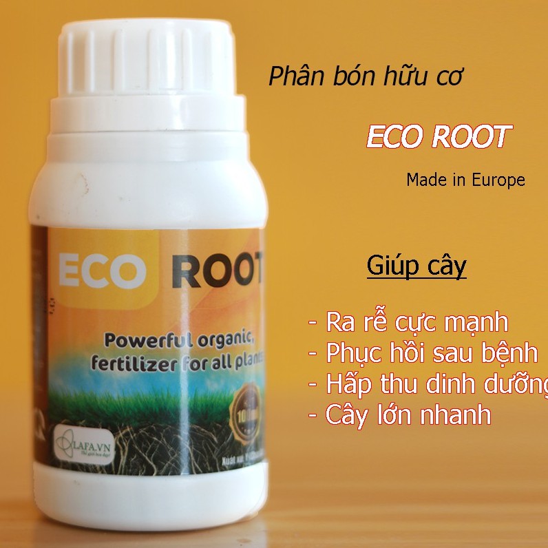 Phân bón hữu cơ eco root cho hoa hồng, hoa lan, rau ăn lá, cây ăn trái dung tích 100ml nhập khẩu nguyên liệu Châu Âu