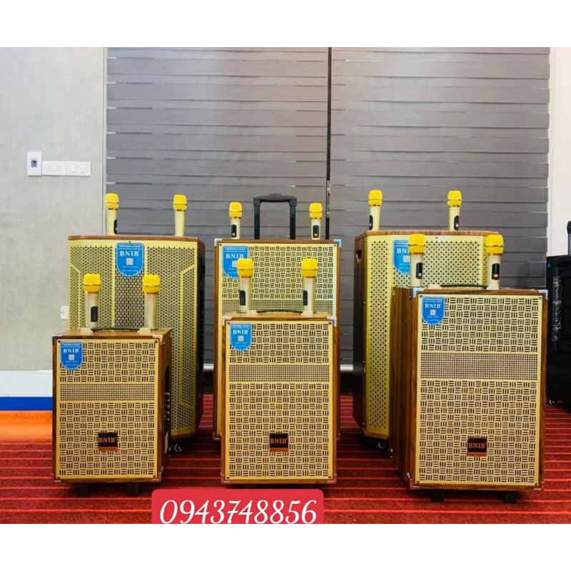Loa kéo Bluetooth karaoke BNIB Bass 20 - Bass 25  Bass30 Công suất lớn - Tặng 2 Mic kiểu dáng đẹp
