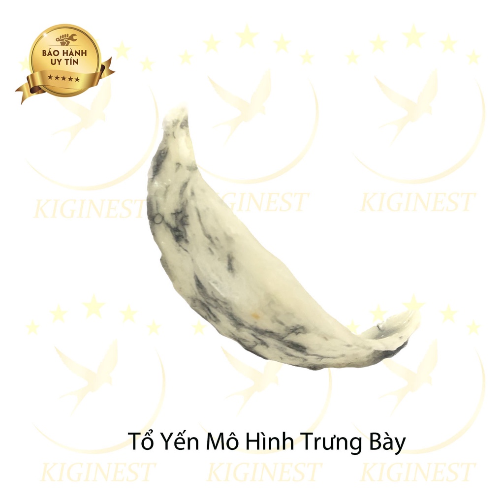 YẾN NHỰA TRƯNG BÀY TỦ KÍNH - SANG TRỌNG