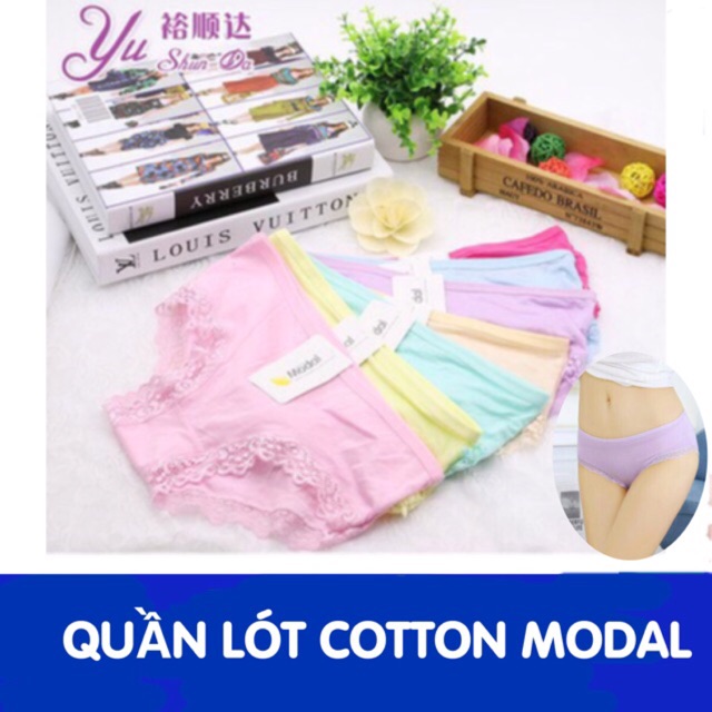Quần lót cotton pha zen modal