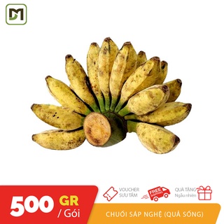 Túi 1KG chuối sáp Nghệ chuối sống dùng để nấu chín để ăn