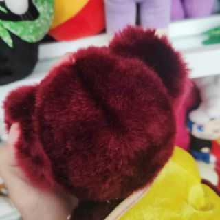 Gấu bông teddy nhung đẹp