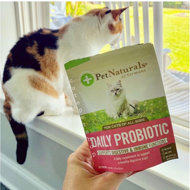 PROBIOTIC Dạng Viên Nhai ở Mèo - Pet Natural Of Vermont DAILY PROBIOTIC Cho Mèo 30 VIÊN Nhập Khẩu USA