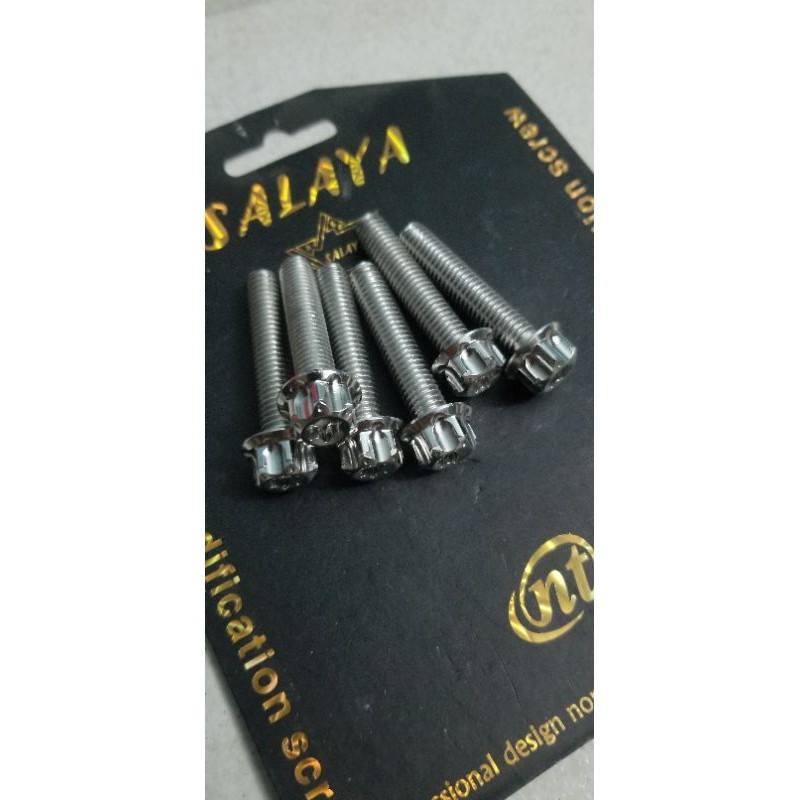 ốc salaya 10ly