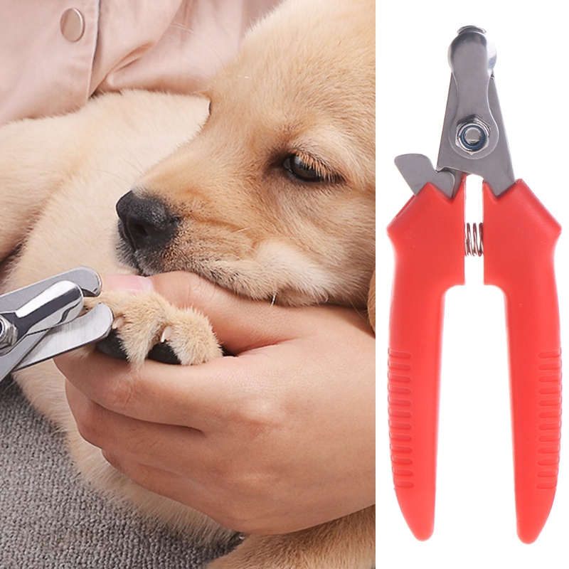 Kềm Cắt Móng Cho Thú Cưng Lưỡi Thép Sắc Bén Kích Thước Nhỏ Dễ Sử Dụng