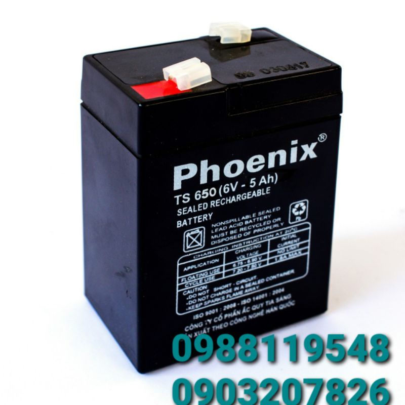 Ắc quy Phoenix TS650