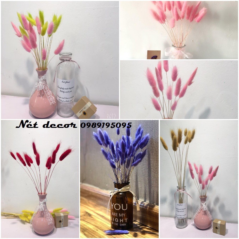 Bó Hoa khô Đuôi Thỏ siêu đáng yêu - Bông Bunny Tails - cỏ khô trang trí - Hoa khô decor