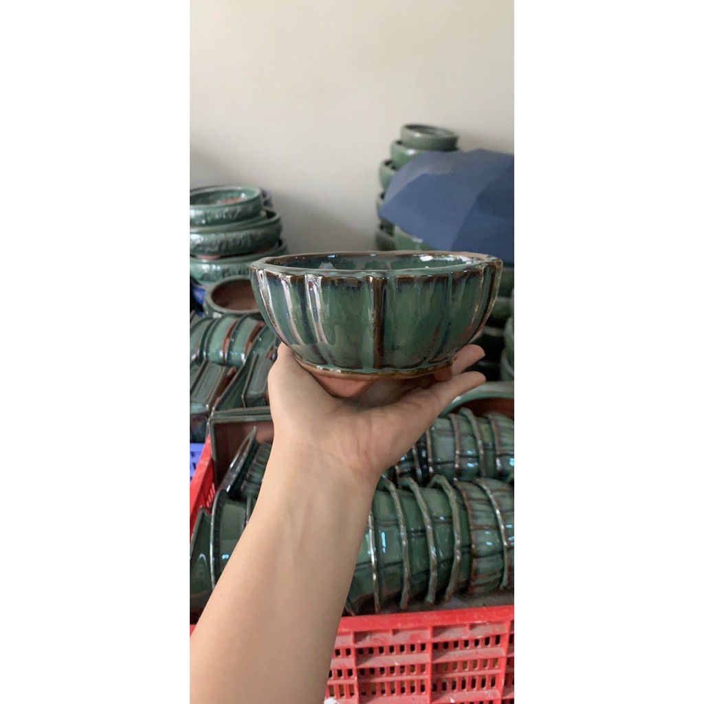 Chậu sứ trồng cây, bon sai, sen đá mini