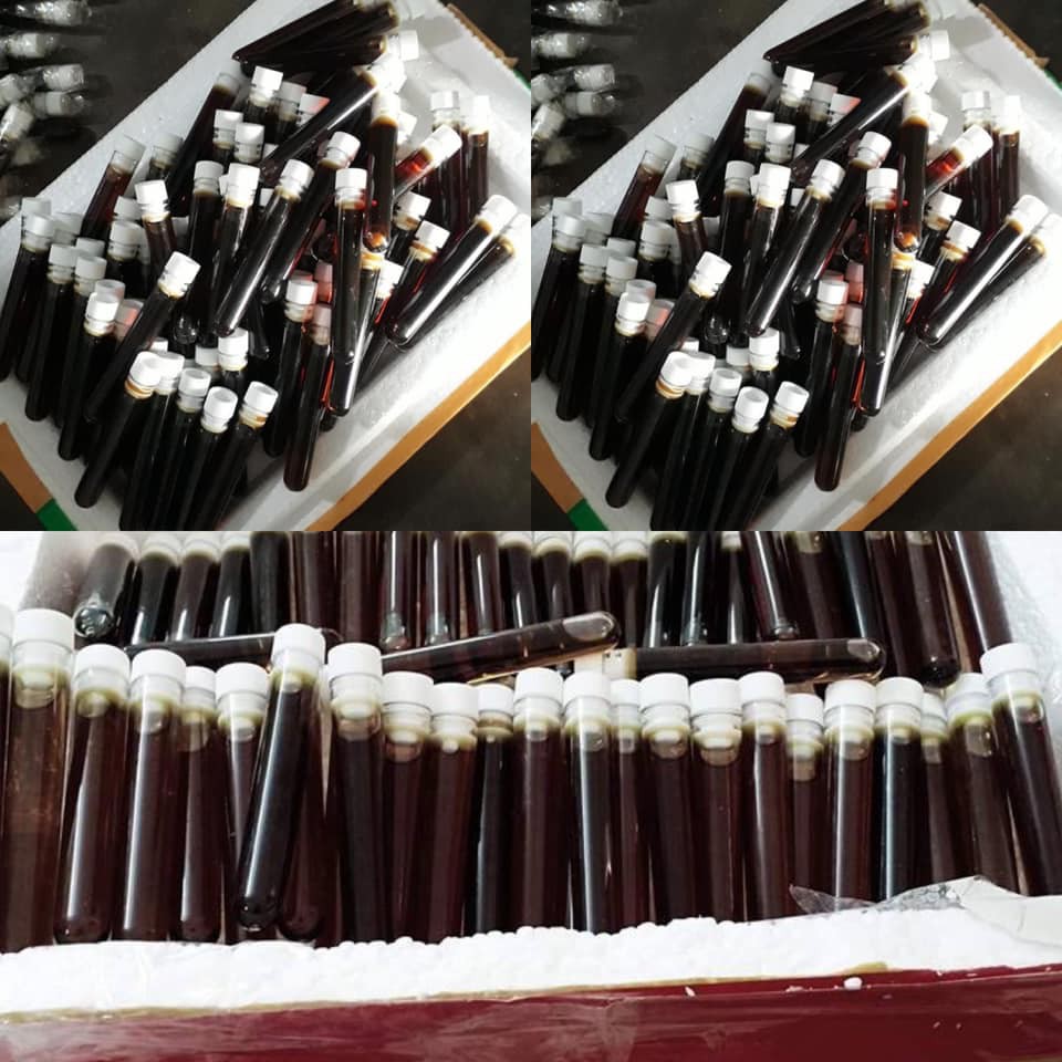 [500ML -Sỉ] Cao lá nam, dưỡng da handmade loại chuẩn | BigBuy360 - bigbuy360.vn