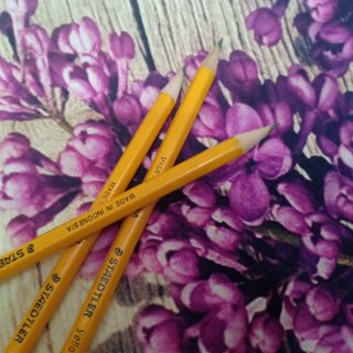 Bút chì Staedtler 134-2B