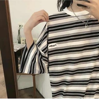 Áo Pull kẻ ngang logo (Ảnh/Video tự chụp)