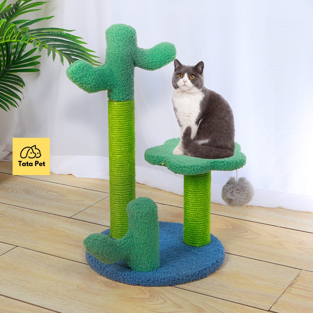 Bàn cào móng hình tròn CAT TREE, TRỤ CÀO MÓNG CHO MÈO  - GỖ TỰ NHIÊN (CM2.5) TATAPET