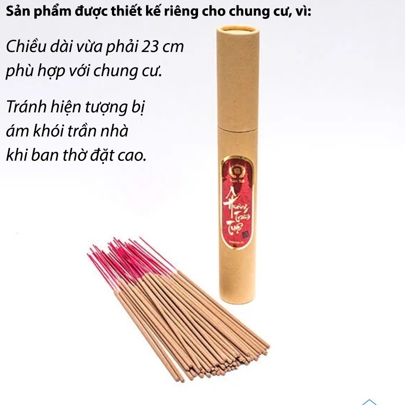 Nhang sạch cho chung cư - Trầm Tuệ. Nhang trầm tự nhiên 100% không hóa chất, an toàn. Mùi thơm thanh, nhẹ. 23cm x 50 nén