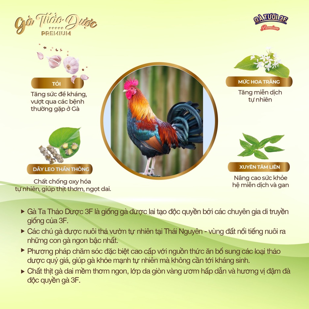3F Gà ta Thảo dược 1.2kg cao cấp  [HCM] Tươi mới mỗi ngày, nhận hàng sau 1 2 ngày đặt