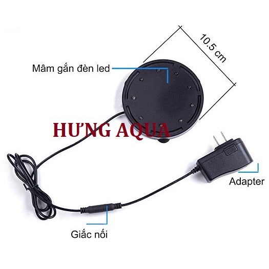 ĐĨA SỦI KÈM ĐÈN LED Q9, Q12, đĩa sủi kèm đèn trang trí bể cá