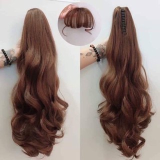 TÓC GIẢ NGOẠM DÀI ĐUÔI NGỰA