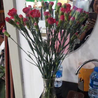5 bình hoa thủy tinh