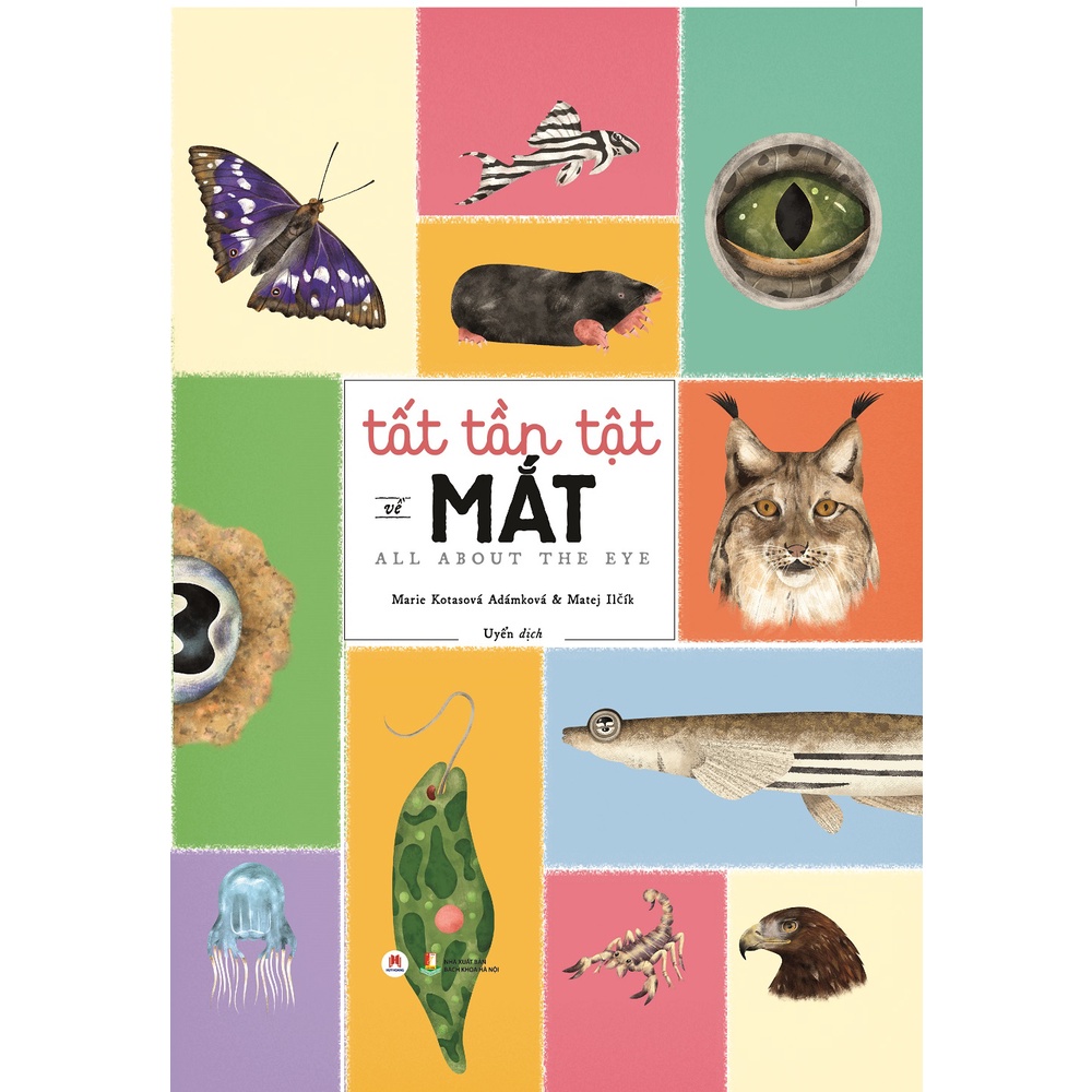 Sách - Tất Tần Tật Về Mắt - All About The Eye