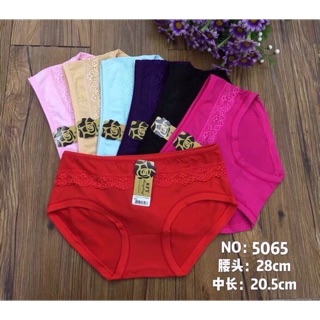 Combo 10 quần lót cotton co dãn 4 chiều
