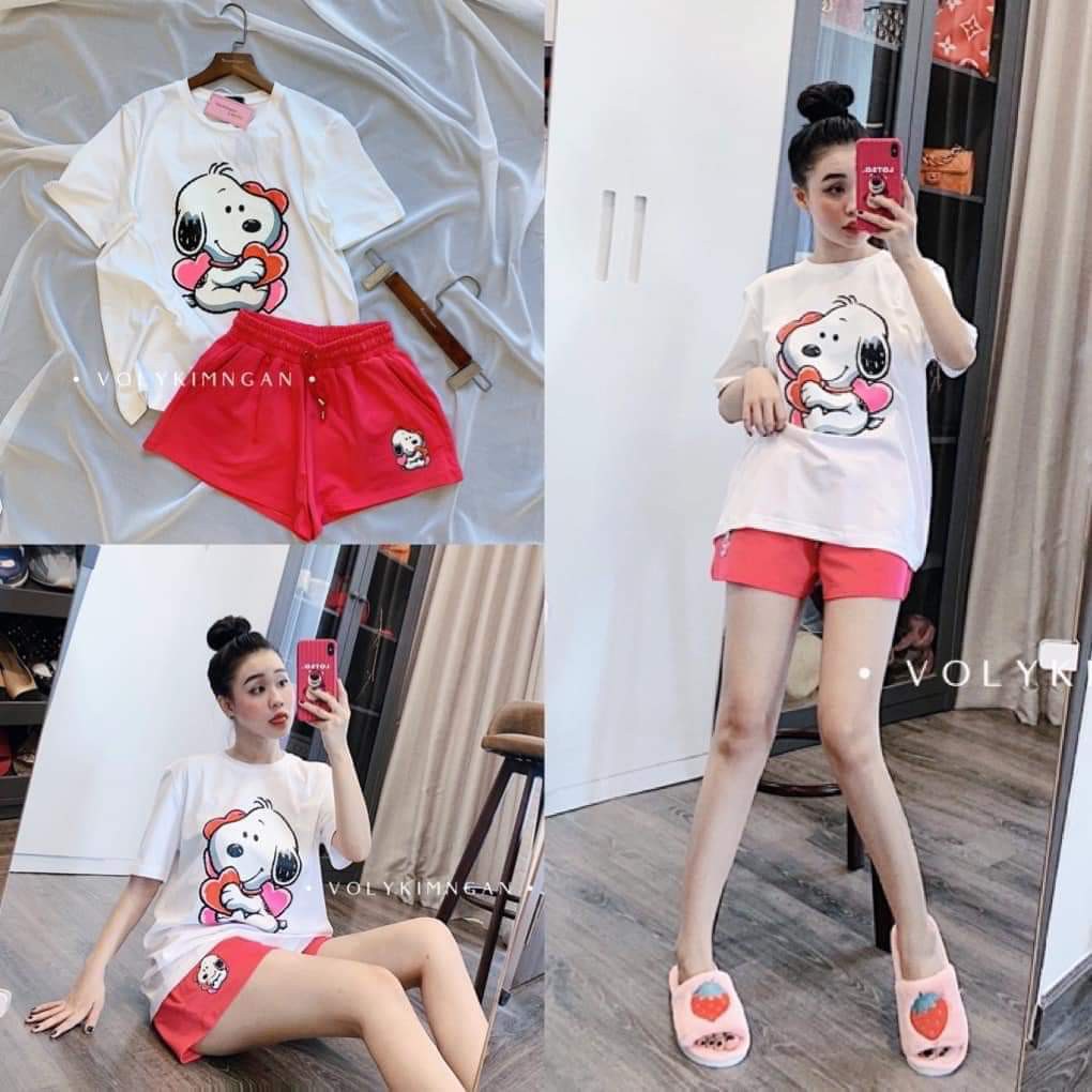 [Mã FATHANG5 giảm 10K đơn 50K] Đồ Bộ Đùi, Bao Đẹp, Chất Thun Cotton 100%, 3 size L, XL, XXL, 45kg đến 80kg vừa, PD6