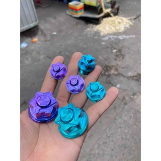 3 ỐC TITAN GR5 CHẢNG BA SATRIA/RAIDER Fi GR5 MẨU 2020 - Vindecal BD