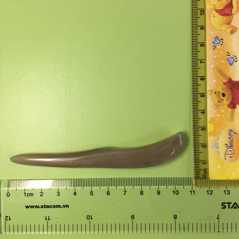 Cây đánh cảm, cạo gió sừng bò Châu Phi CCG04 Dài 10x1,5cm