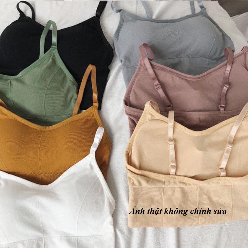 Áo bralette nữ áo bra thun cotton Tăm Hở Lưng Tập Gym 2 dây có chốt chỉnh cỡ PK15 | BigBuy360 - bigbuy360.vn