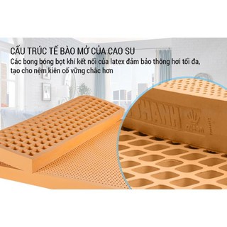 Nệm Cao Su Vạn Thành Standard