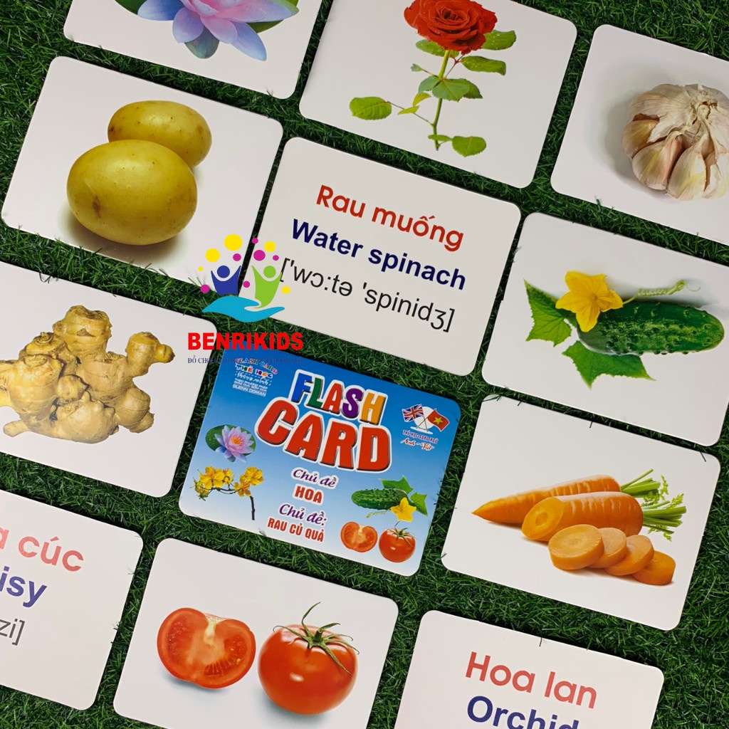 Thẻ Học Thông Minh Song Ngữ,Thẻ FLashCards Theo Phương Pháp Glenn Doman Nhiều Chủ Đề Cho Bé