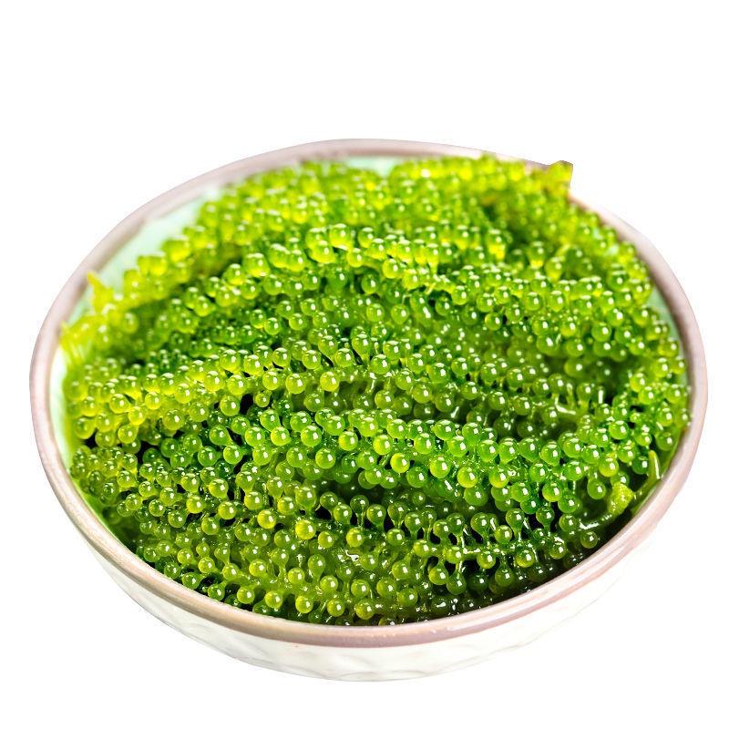 Rong Nho Tách Nước Vạn Phúc 100g