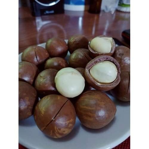 Hạt Macca Hữu Cơ Sạch, Chất Lượng [Mắc ca Loại 1 Giá Sỉ] tặng kèm dụng cụ tách hạt | BigBuy360 - bigbuy360.vn