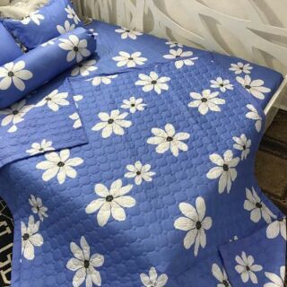 Bộ drap gói cotton Hàn Quốc 1m6 x 2m